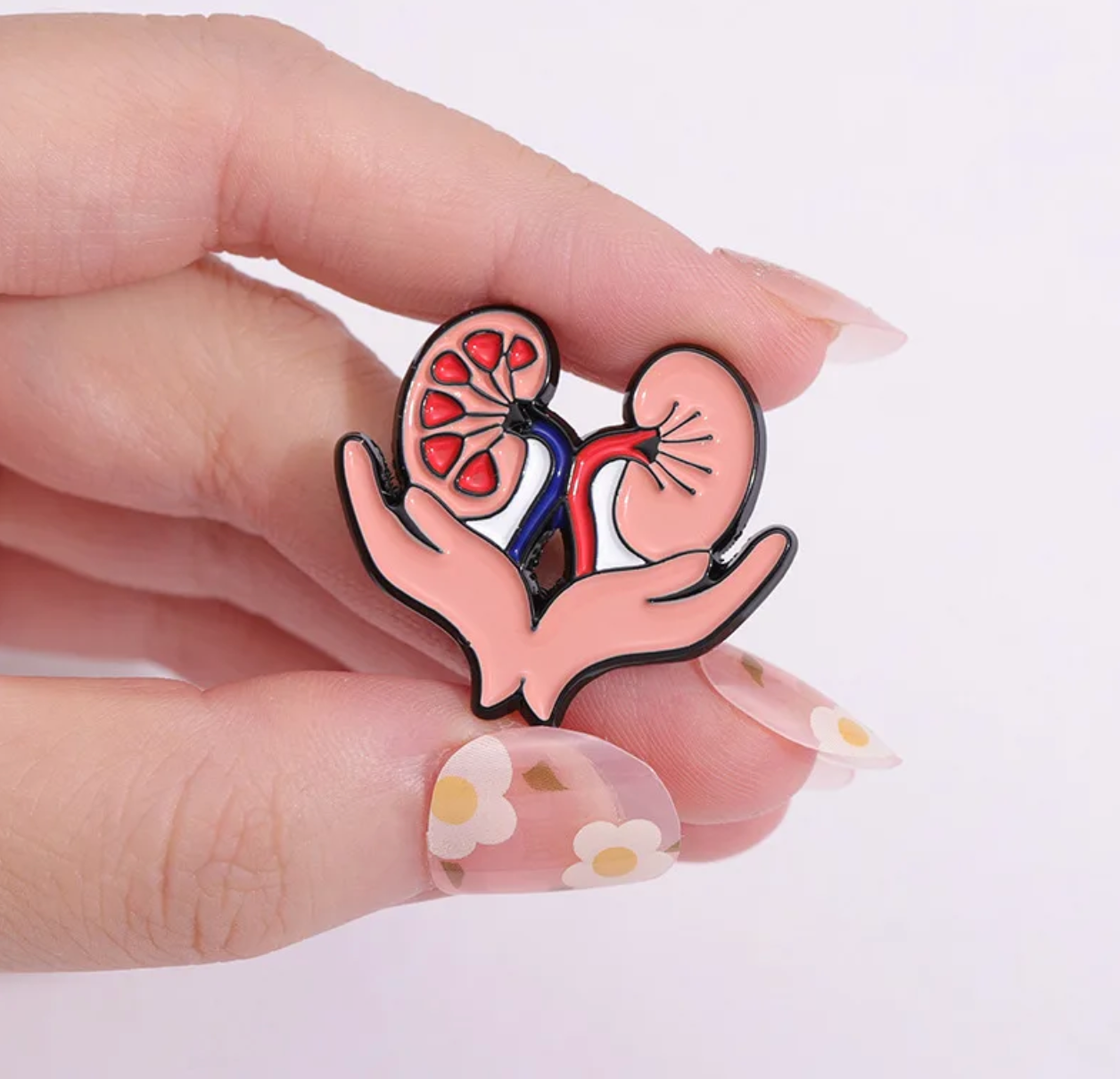 Pin riñon