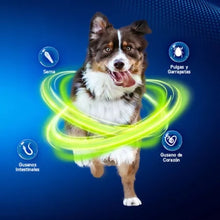 Cargar imagen en el visor de la galería, Nexgard Spectra 3 tabletas masticables SPECTRA XL 30-60 kg