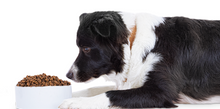 Cargar imagen en el visor de la galería, WholeHearted Alimento Natural para Perro Todas las Edades 18.1 kg