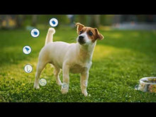 Cargar y reproducir el video en el visor de la galería, NEXGARD SPECTRA 3 TAB ( 15-30 ) L