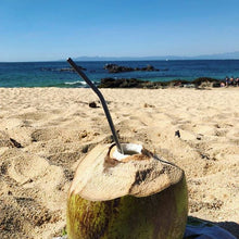 Cargar imagen en el visor de la galería, Popote de acero Inoxidable 20oz recto