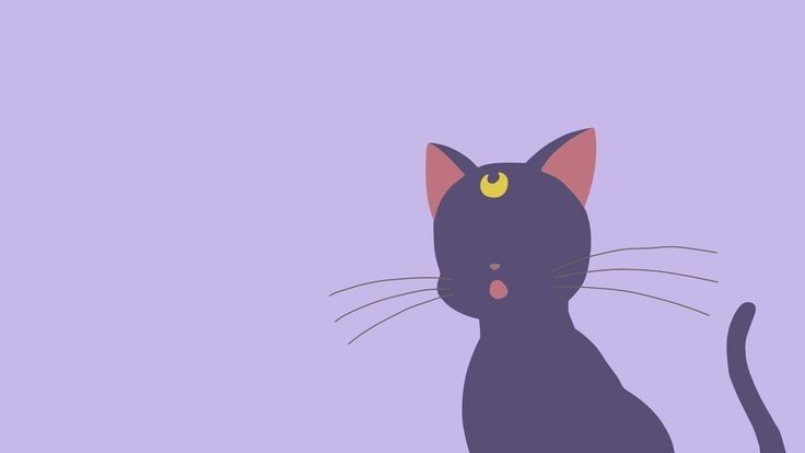 COLECCIÓN GATOS