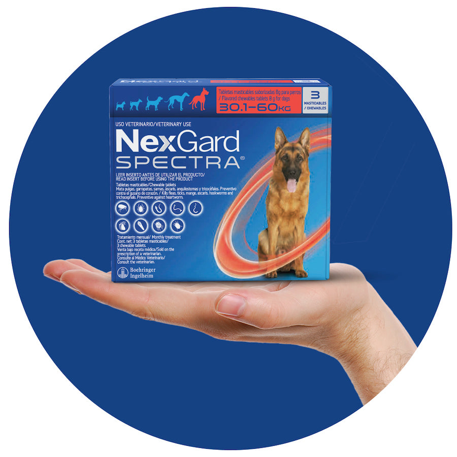 Nexgard Spectra 3 tabletas masticables SPECTRA XL 30-60 kg