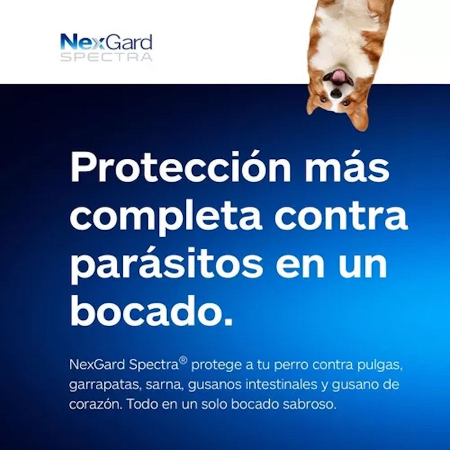 Nexgard Spectra 3 tabletas masticables SPECTRA XL 30-60 kg