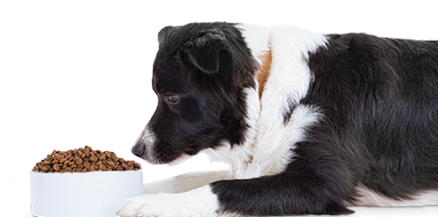 WholeHearted Alimento Natural para Perro Todas las Edades 18.1 kg