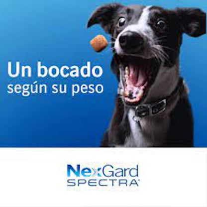 Nexgard Spectra 3 tabletas masticables SPECTRA XL 30-60 kg