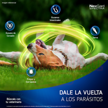 Cargar imagen en el visor de la galería, Nexgard Spectra 3 tabletas masticables SPECTRA XL 30-60 kg
