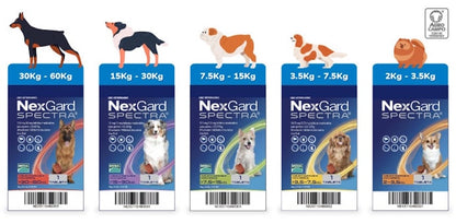 Nexgard Spectra 3 tabletas masticables SPECTRA XL 30-60 kg