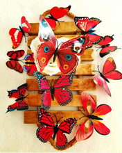 Cargar imagen en el visor de la galería, Set Mariposas Decorativas
