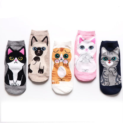 Calcetín Gatitos