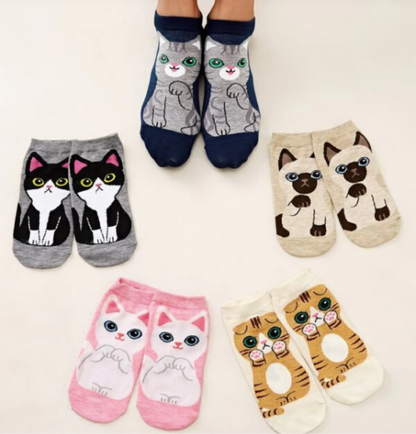 Calcetín Gatitos