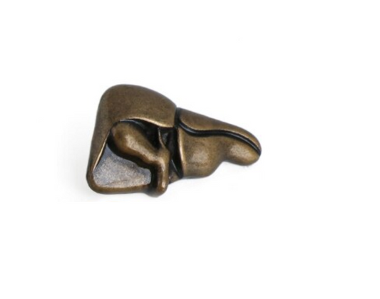 Pin Higado