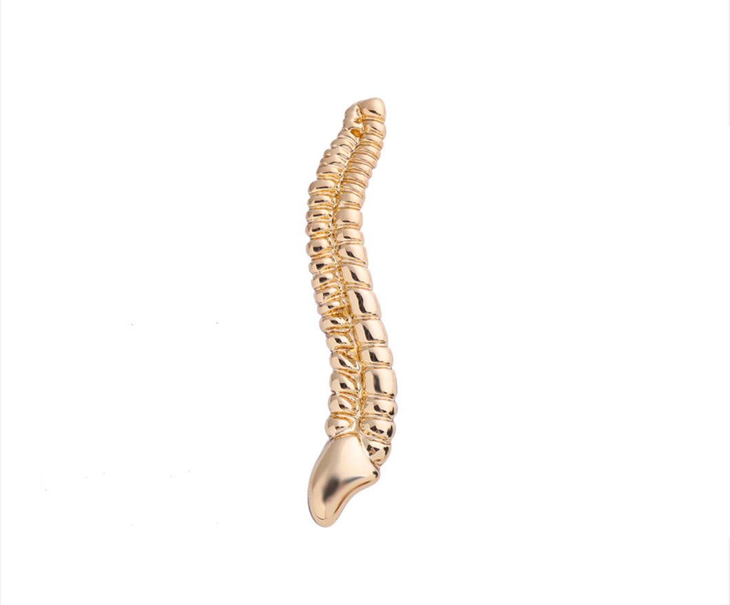 Pin Columna vertebral