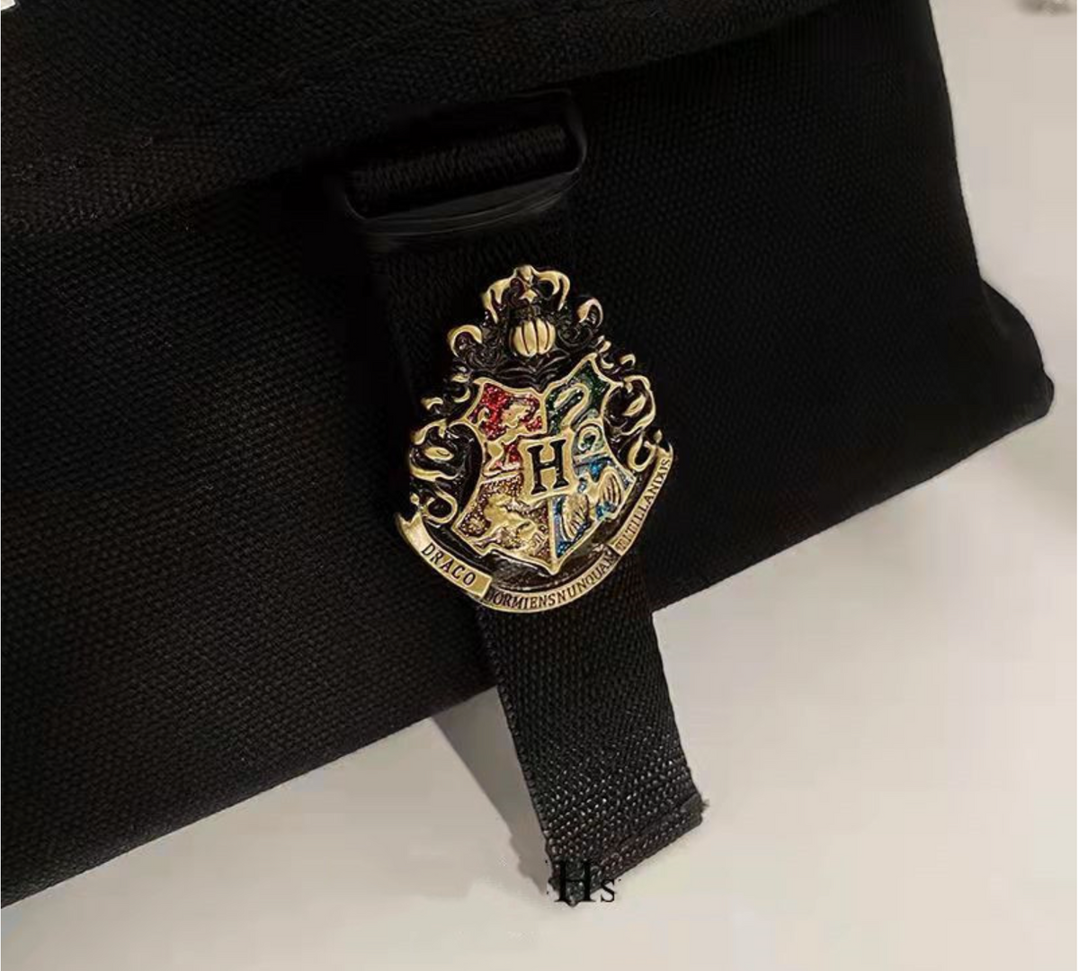 Pin Harry Potter