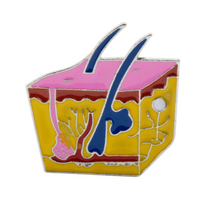 Cargar imagen en el visor de la galería, Pin Dermatologo

