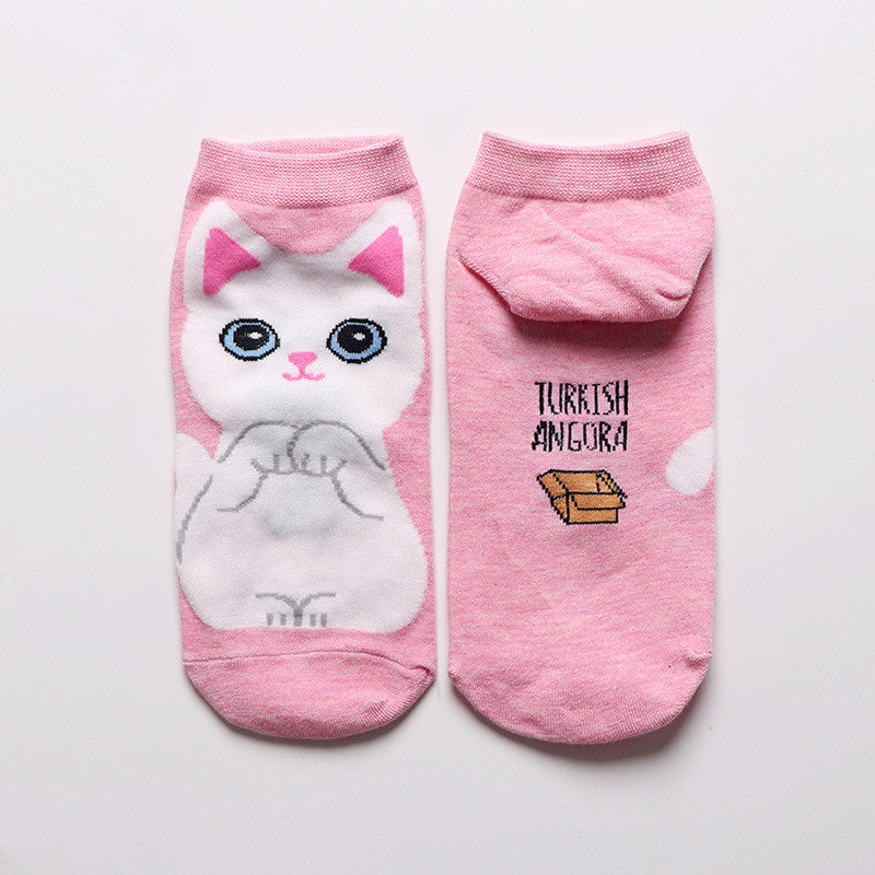 Calcetín Gatitos