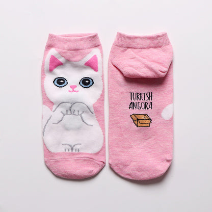 Calcetín Gatitos