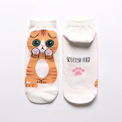 Calcetín Gatitos