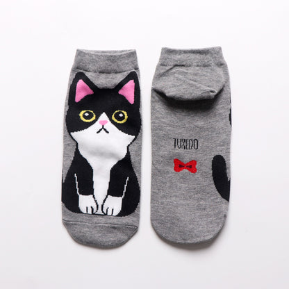 Calcetín Gatitos