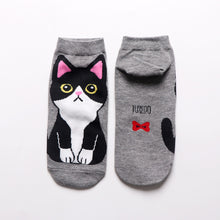 Cargar imagen en el visor de la galería, Calcetín Gatitos
