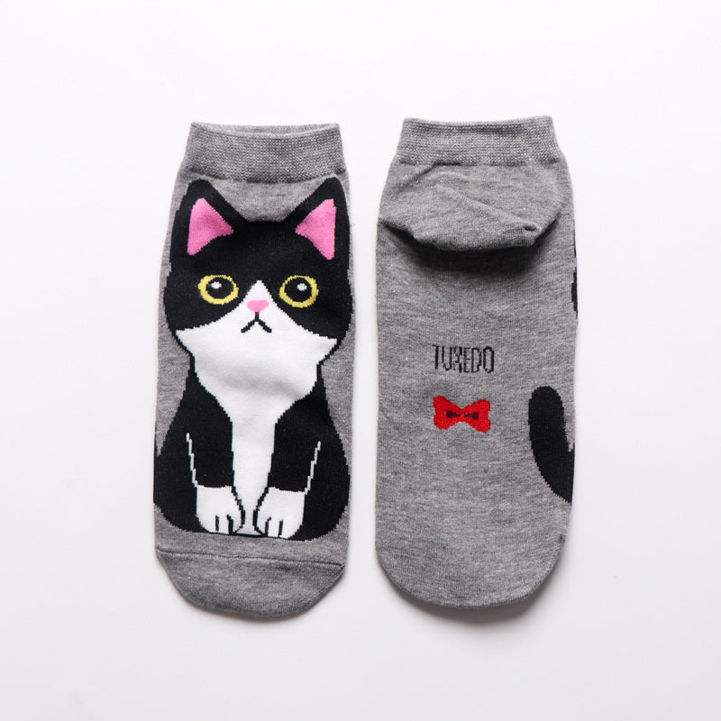 Calcetín Gatitos