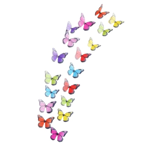 Set de 18 mariposas Decorativas
