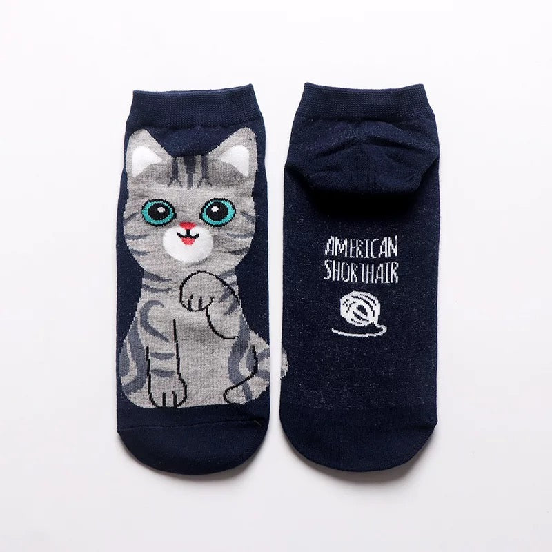 Calcetín Gatitos