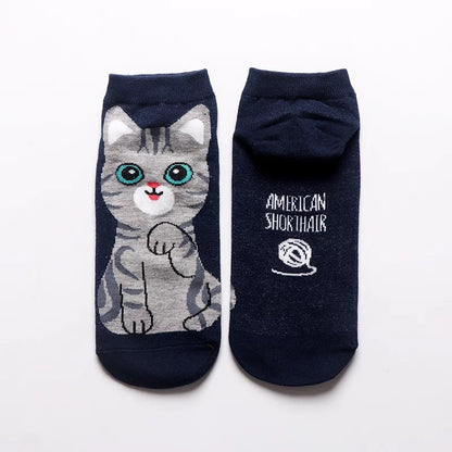 Calcetín Gatitos