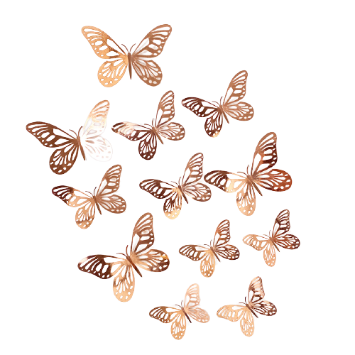 Set de Mariposas Decorativas con diseño