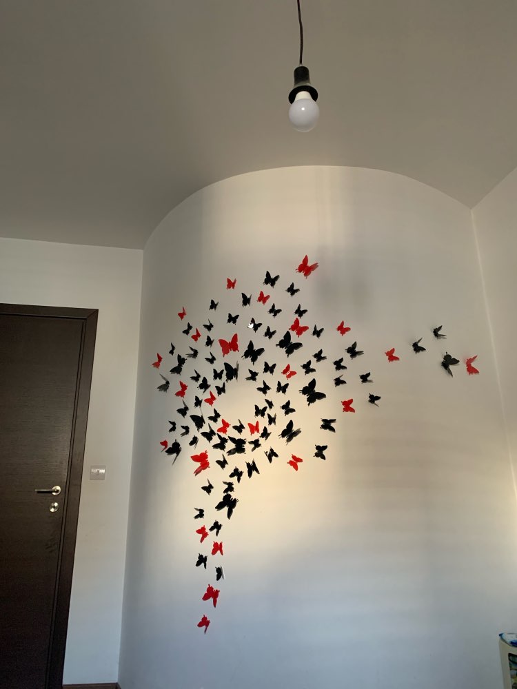 Set Mariposas Decorativas