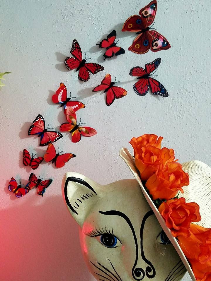 Set Mariposas Decorativas